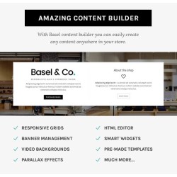 3b. 一次性收費 Basel Theme 包安裝設置及教學 (送一年支援及Opencart教學服務)