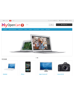 3c. Default Theme (one-time fee included Installation and Set-up)